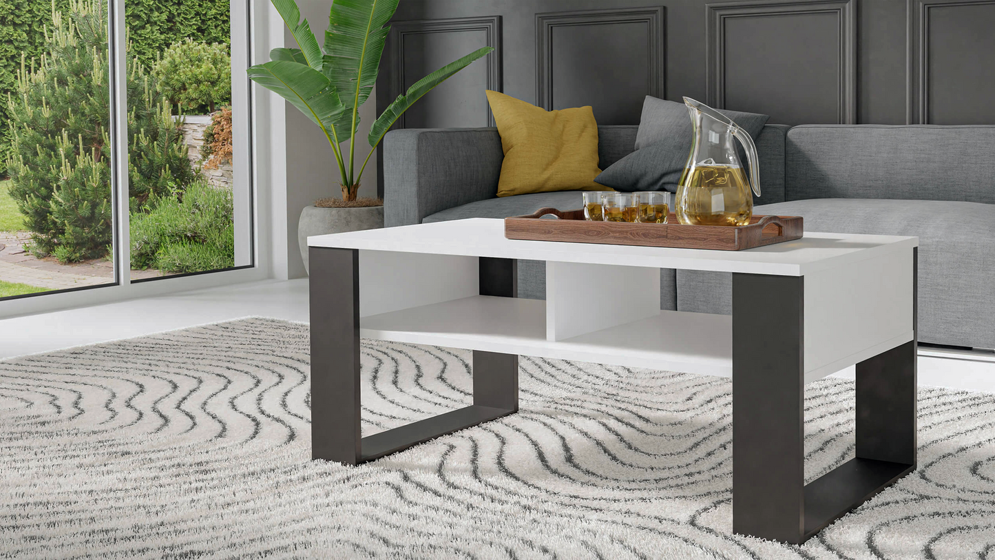 MODERN 2P Coffee Table